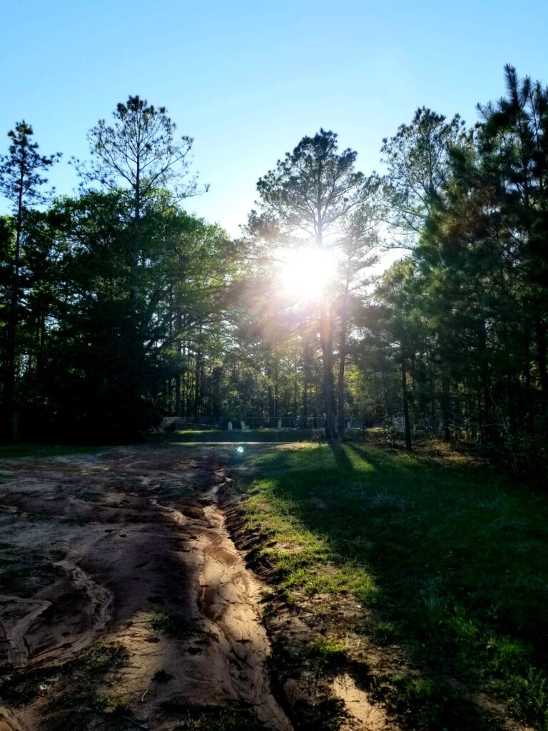 This dirt trail of a driveway leads through the trees to a place where BackroadsWiFi.com works amazingly.