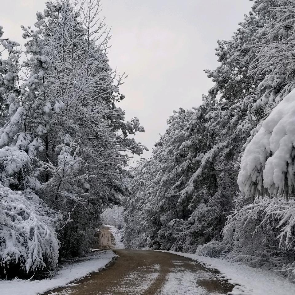 Snow covered backroads are a reminder of the need for reliable and affordable internet services during inclement weather.